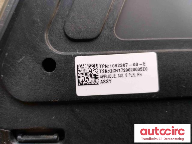 Karosseri: b-stolpe til Tesla Model S 2016-2021 (Fase 2) (1092307-00-E|1092307-00-E|)