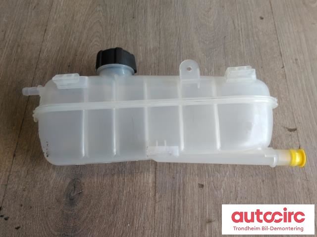 Ekspansjonstank til Renault Zoe, 2013-2019 (Fase 1)  (..|217101652R)