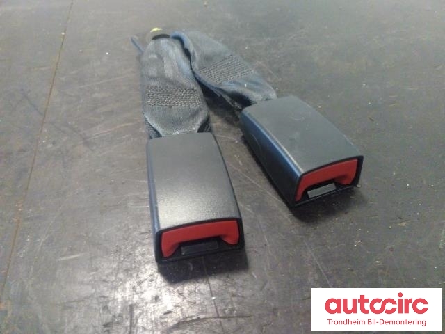Sikkerhetsbeltelås baksete til Dodge Journey, 2008-2010  (..|1AN211DVAB)
