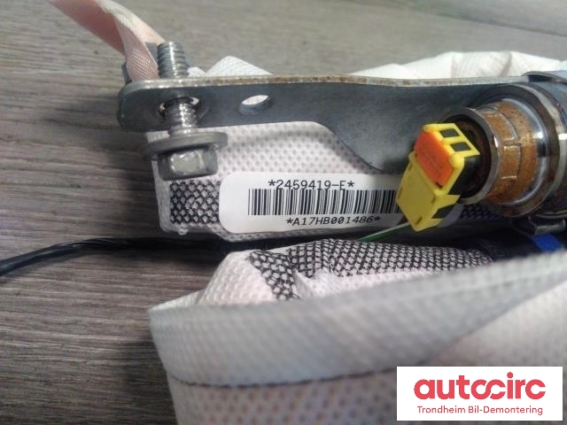 Airbag gardin venstre til Tesla Model S 2016-2021 (Fase 2) (TESLA|1005261-00-F|2459419-E|0589-P1-000343)