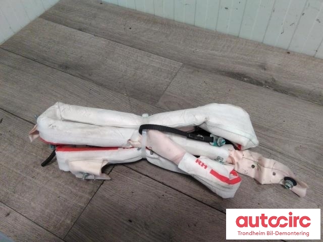 Airbag gardin venstre til Tesla Model S 2013-2016 (Fase 1)  (..|1005261-00-C|)