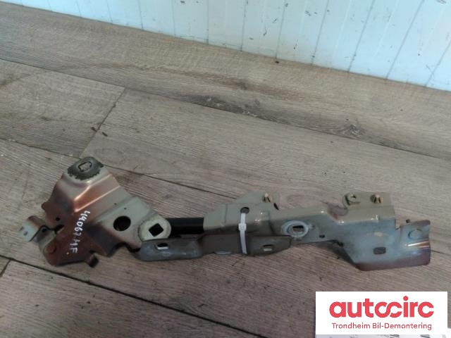 Panserhengsler til Renault Zoe 2013-2019 (Fase 1) (HØYRE SIDE|654825654R|654707388R|654009955R)