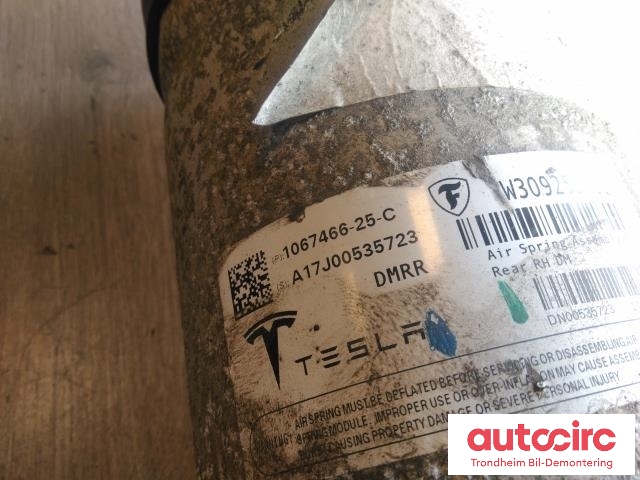 Fjær bak nivå luftpute/belg til Tesla Model S 2016-2021 (Fase 2)  (HØYRE SIDE|1067466-25-C|W309255101|)