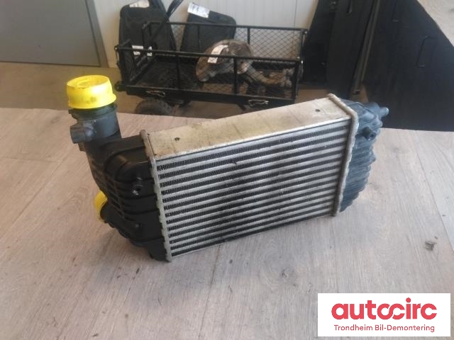 Intercooler til Fiat Ducato 2002-2006  (MODINE|1307012080|1319508|)