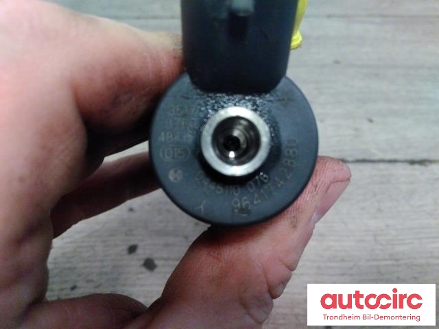 Dyse innsprøyting diesel til Peugeot 307 2001-2004 (Fase 1) (BOSCH|1980H8|9641742880|0445110076)