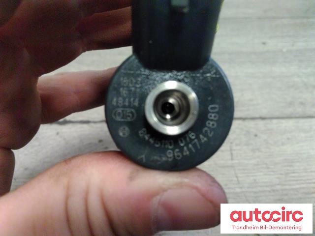 Dyse innsprøyting diesel til Peugeot 307 2001-2004 (Fase 1)  (BOSCH|1980H8|9641742880|0445110076)