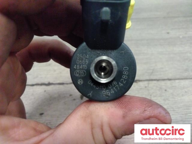 Dyse innsprøyting diesel til Peugeot 307 2001-2004 (Fase 1)  (BOSCH|1980H8|9641742880|0445110076)