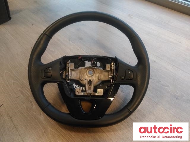 Ratt til Renault Zoe, 2013-2019 (Fase 1)  (..|484005406R)