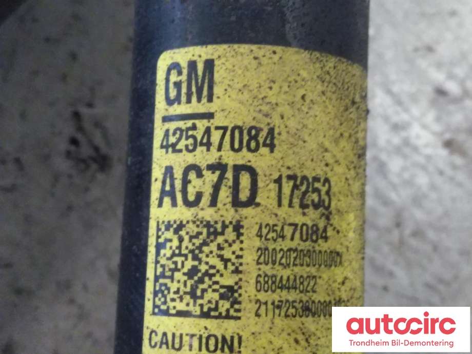 Støtdemper bak til Opel Ampera-e 2017-->> (Type II)  (BEGGE SIDER|42547084|)
