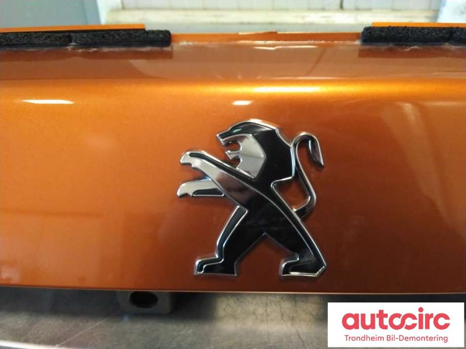 Bakluke/bakdør håndtak til Peugeot e-2008 2019-->>  (..|9828080180|1674244180|983819001T)
