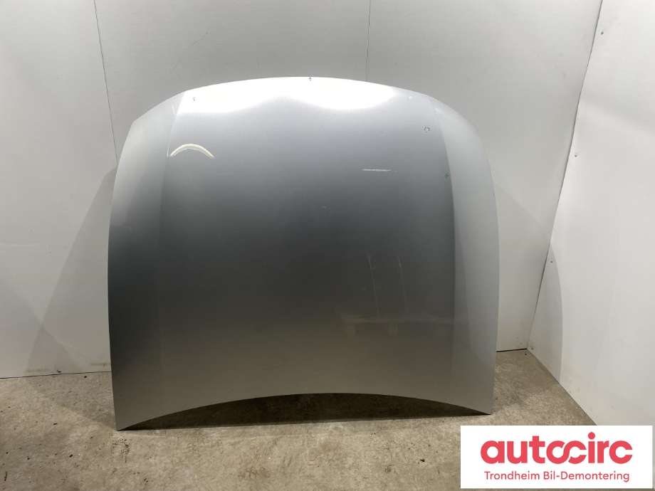 Panser til Lexus GS, 2005-2012 (Type III) (S190) (S190) (LES INFO|5330130450)