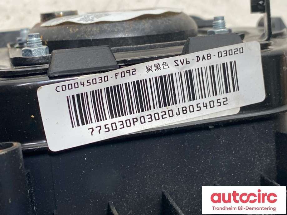 Airbag rattpute til Maxus EV80 2019-->>  (C00045030|)