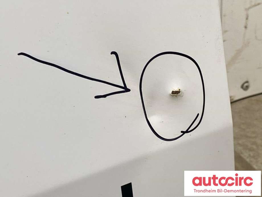 Dør høyre bak varebil til Renault Kangoo 2008-2021 (Type II) (7751478139|901002594R|)