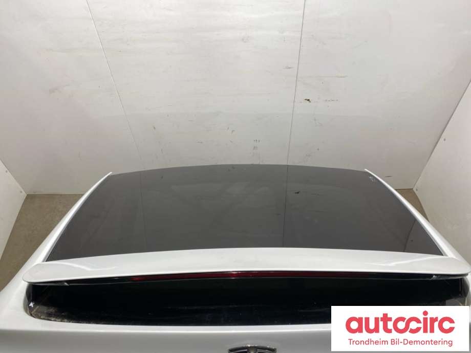 Bakluke til Tesla Model X 2016-->> (1900710-E0-B|)