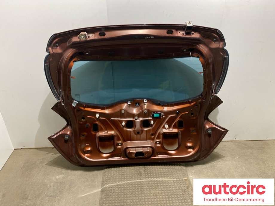 Bakluke til Renault Zoe 2013-2019 (Fase 1)  (...|901003877R|)