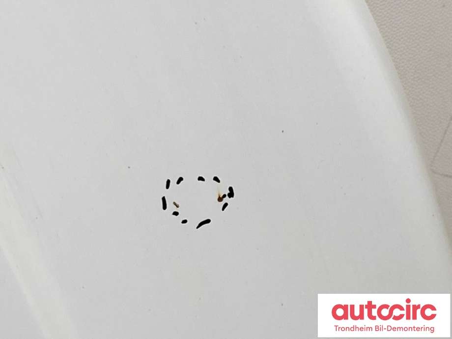 Panser til Ford Transit Connect 2013-2018 Type II, Fase 1  (1808950|PDT11-V16610-AA|)