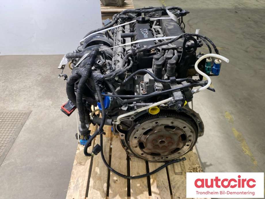 Motor bensin til Ford Focus 2011-2014 (Type III, Fase 1)  (BM5G-6006-LA|1727626|)