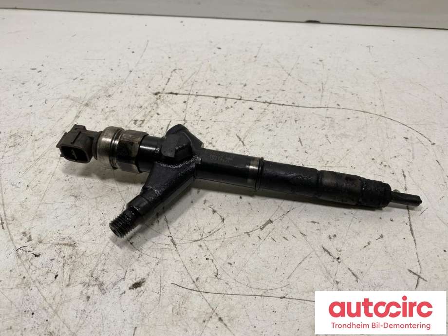 Dyse innsprøyting diesel til Nissan X-Trail, 2002-2007 (T30) (T30) (16600AW400)