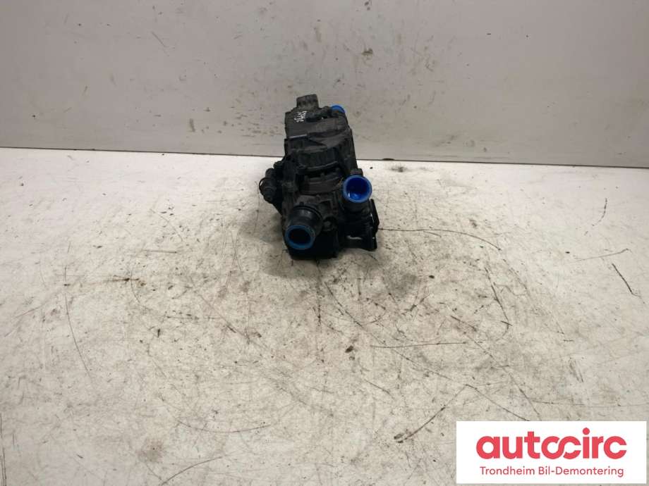 Termostathus til Citroën Berlingo 2015-2019 (Type II, Fase 2)  (98 035 494 80|98 503 646 80|)