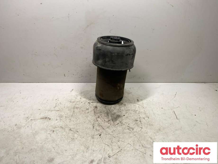 Støtdemper bak til BMW X5 2013-2018 (F15) (F15) (37 10 6 875 090|)