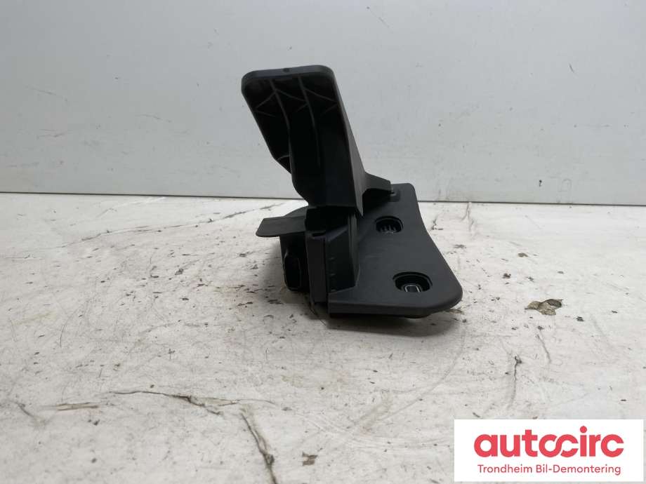 Pedal gass til XPeng G6 2023-->> (3040100FA2|)