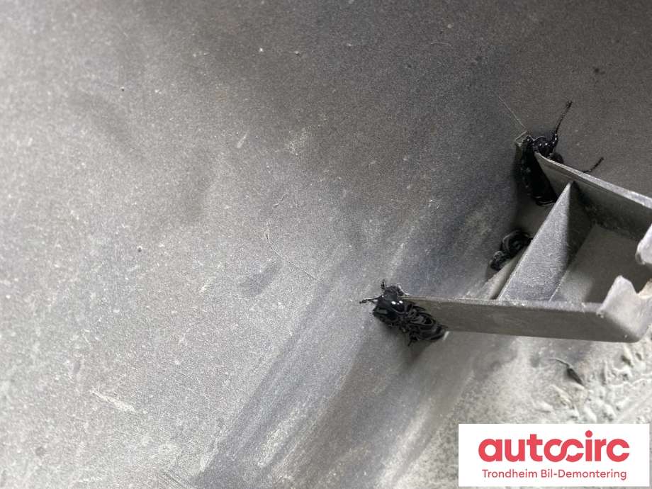 Hjulbuelist venstre bak til Toyota Land Cruiser 120 2002-2009  (7565460021B1|)