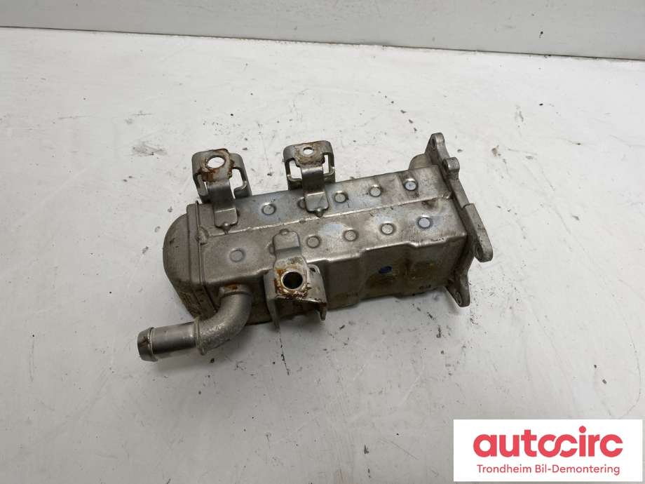 EGR-kjøler til VW Amarok 2022-->> (Type II)  (0XW131508C|5.24810.02.0|)