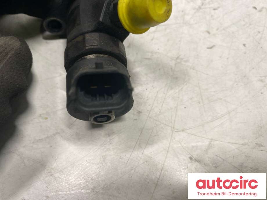 Dyse innsprøyting diesel til Citroën C4, Picasso 2006-2013 (Type I)  (1980 J3|0445110 259|)