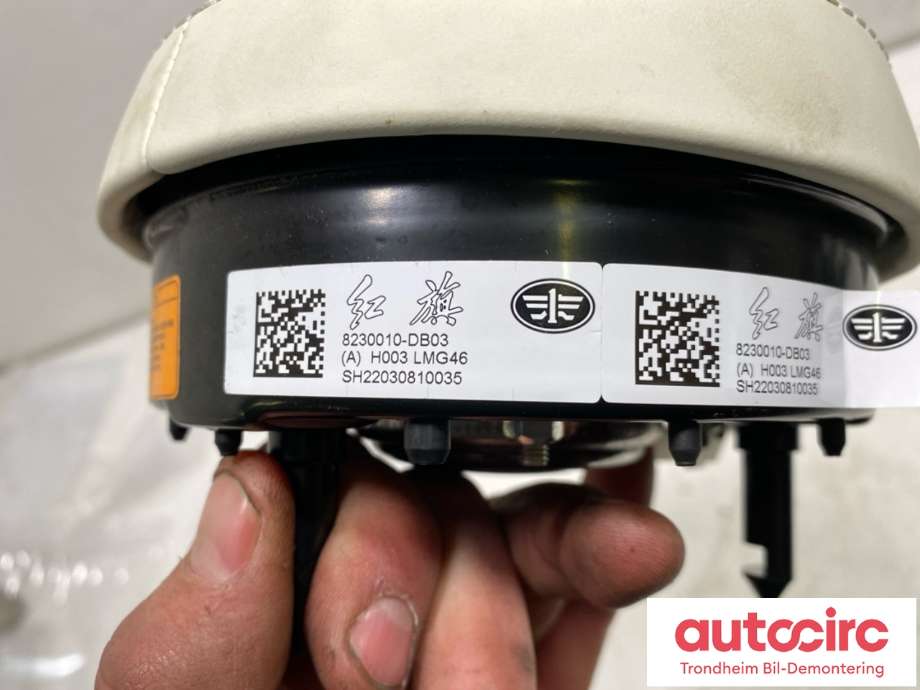 Airbag rattpute til Hongqi E-HS9 2022-->> (8230010-DB03|)