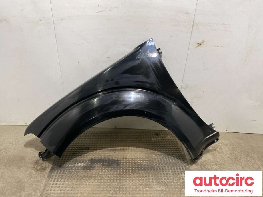 Skjerm venstre foran til Nissan Pathfinder, 2010-2014 (Fase 2) (R51) (R51) (F31014X0MA)