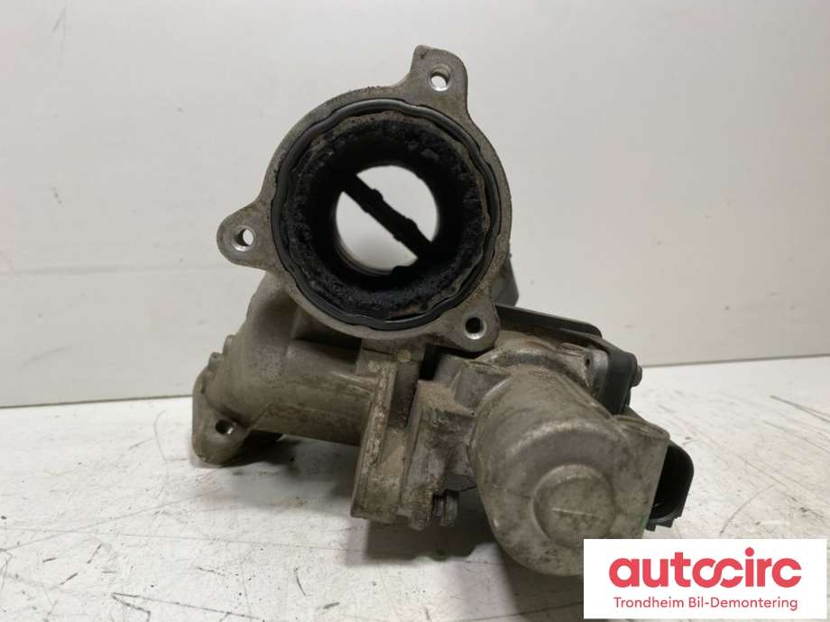 EGR-ventil til VW Golf, Plus/Cross 2005-2009 (Fase 1)  (03G131501N|03G129537A|700678040)