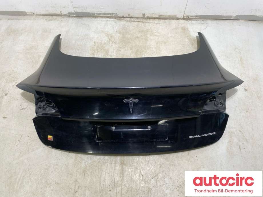 Bakluke til Tesla Model 3 2018-2023 (Fase 1) (1081460-E0-D|1081460-EC-D|1081460-EC-E)