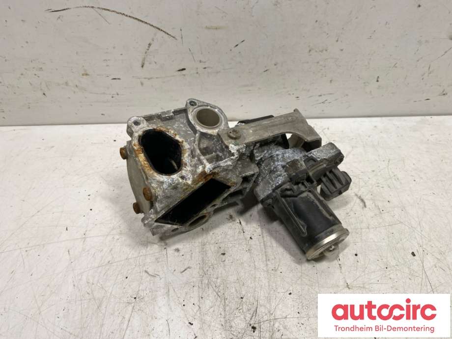 EGR-ventil til Peugeot Boxer 2014-->> (Type III, Fase 2) (BORG WARNER / BOSCH|0 280 751 018|9807593080|9807593080-01)
