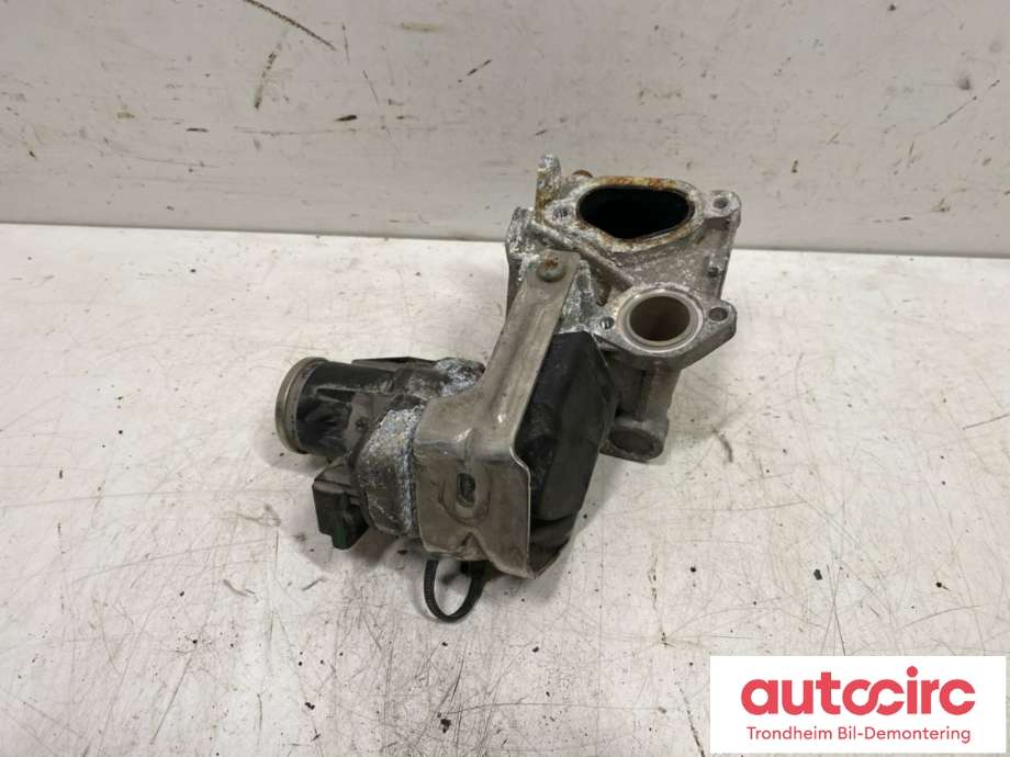 EGR-ventil til Peugeot Boxer 2014-->> (Type III, Fase 2) (BORG WARNER / BOSCH|0 280 751 018|9807593080|9807593080-01)