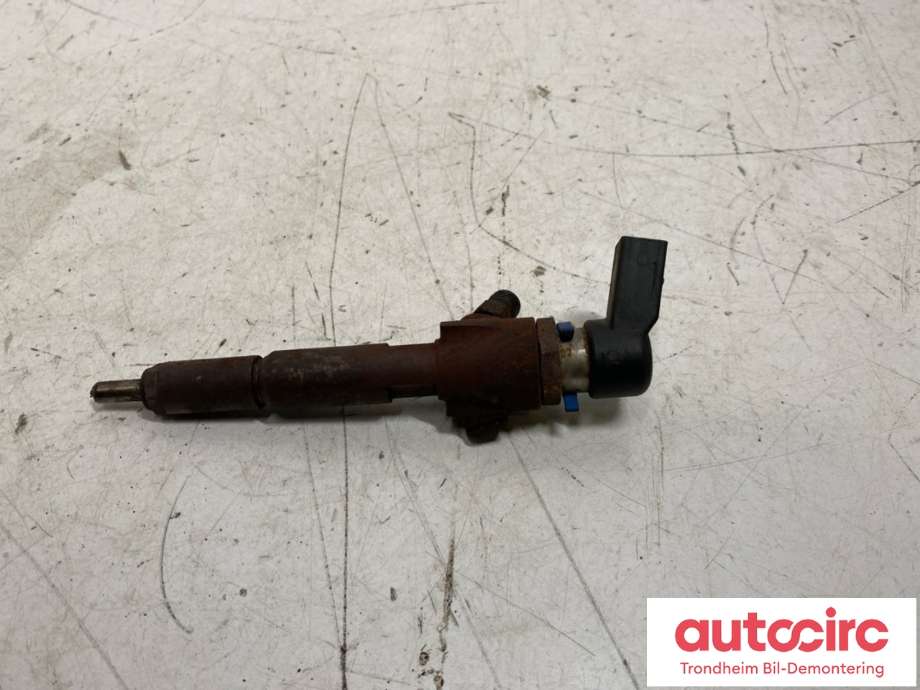 Dyse innsprøyting diesel til Ford Transit Connect 2009-2013 (Type I, Fase 2) (1432322|)