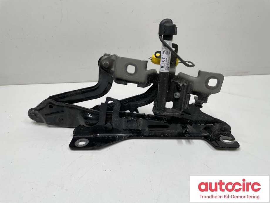 Panserhengsler til BMW iX 2021-->> (I20) (I20) (51649853428|)