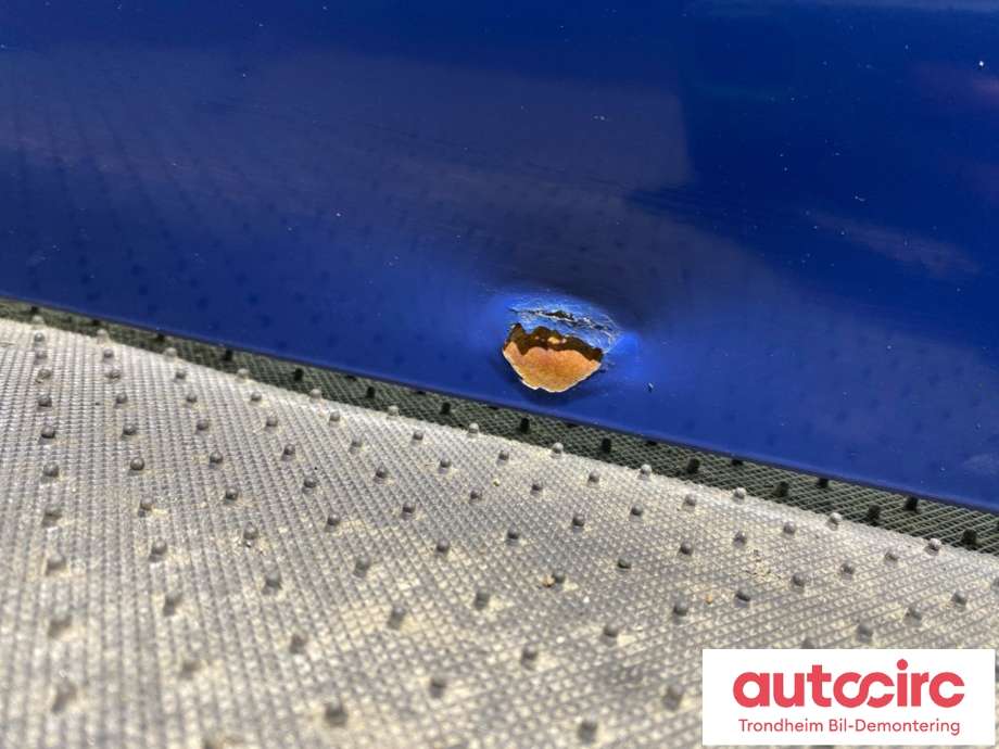 Bakluke til VW Transporter / Caravelle 2019-->> (T6.1) (T6.1) (7E0 827 025 AL|)