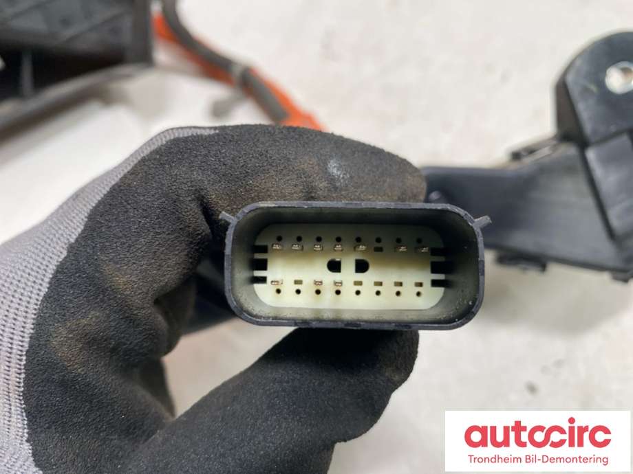 Batterilader inntak/luke til Ford Mustang Mach-e 2020-->>  (FOMOCO|2658598|LJ98-14B308|)