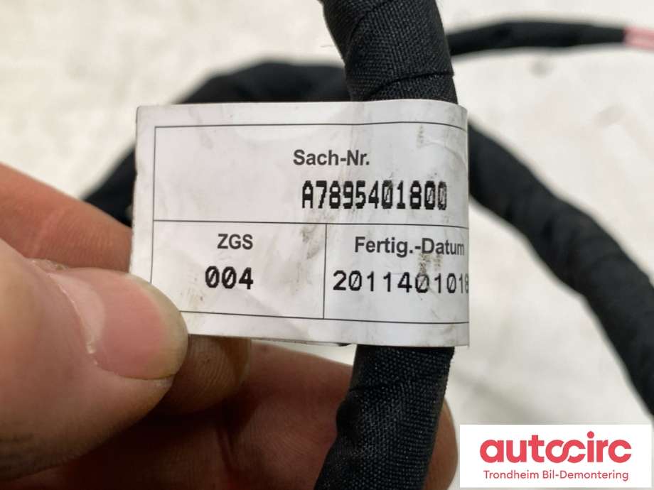 Ledningsnett til Mercedes EQC 2019-->>  (A7895401800|)