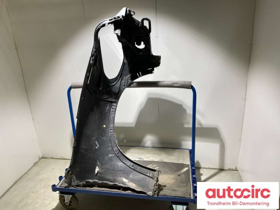 Skjerm venstre foran til BMW X5 2007-2013 (E70) (E70) (51657178395|51650430321|)