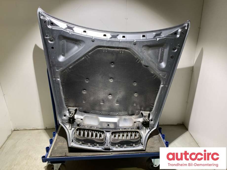 Panser til BMW X5 2007-2013 (E70) (E70) (41617486754|)