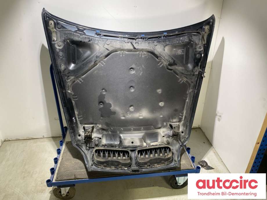 Panser til BMW X5 2007-2013 (E70) (E70) (41617486754|)