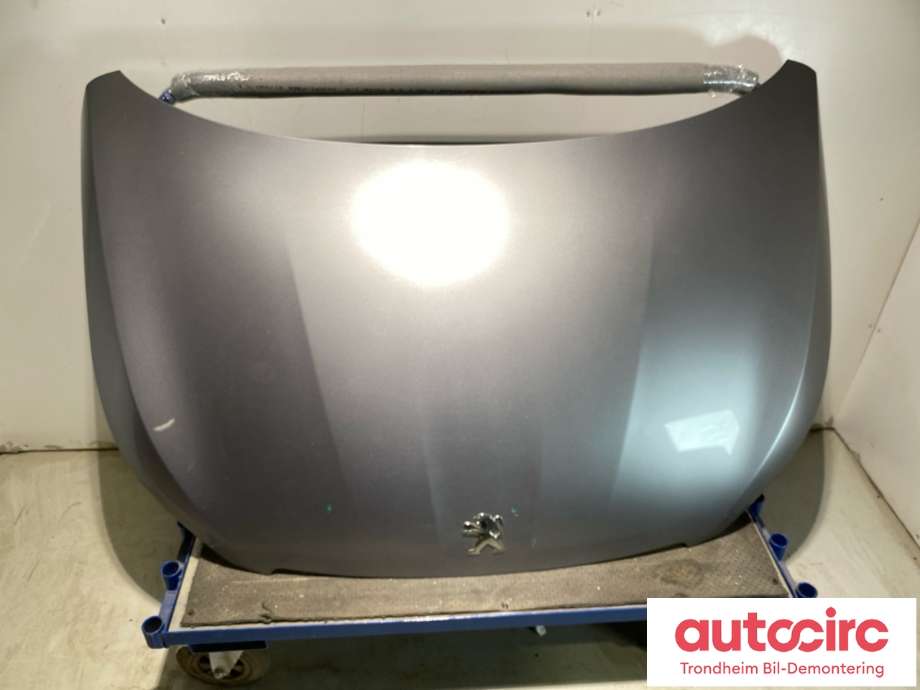 Panser til Peugeot 308, 2013-2021 (Type II)  (9802163180)