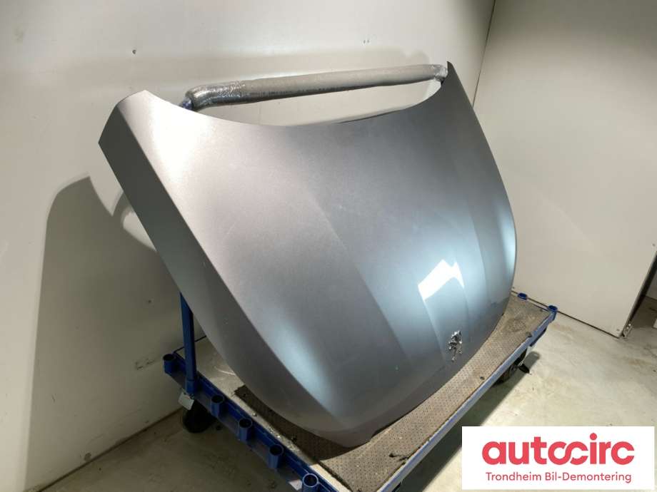 Panser til Peugeot 308 2013-2021 (Type II)  (9802163180|)