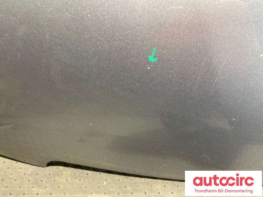 Panser til Peugeot 308 2013-2021 (Type II)  (9802163180|)