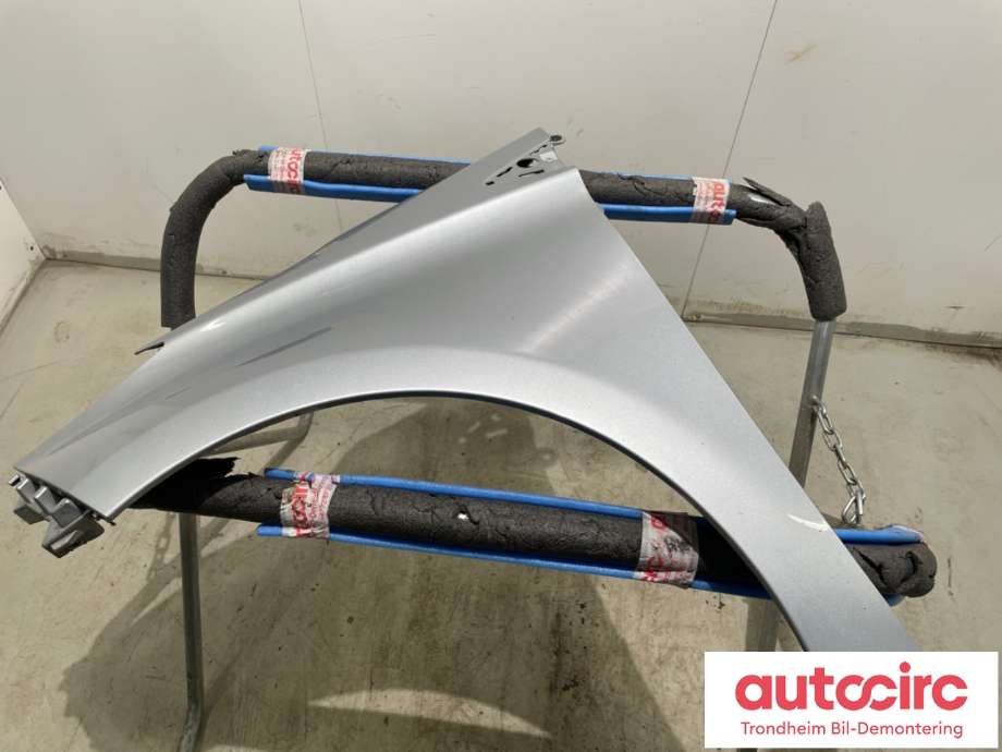 Skjerm venstre foran til Renault Zoe, 2019-->> (Fase 2) (631010917R)