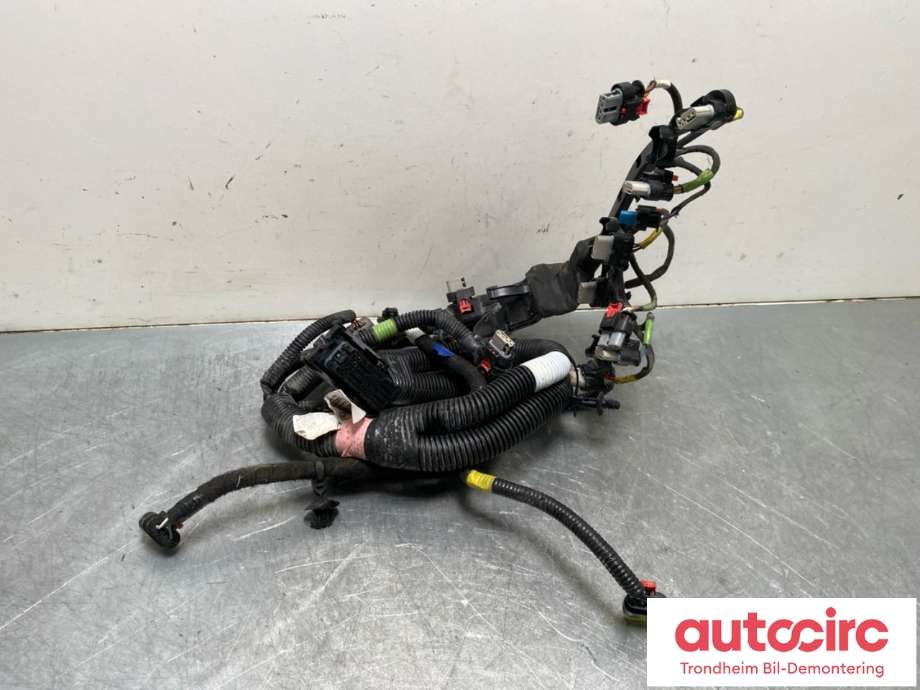 Ledningsnett til Tesla Model Y, 2021-2024 (Type I)  (2068767-00-C)