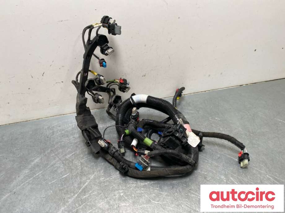 Ledningsnett til Tesla Model Y 2021-2024 (Type I)  (2068767-00-C|)