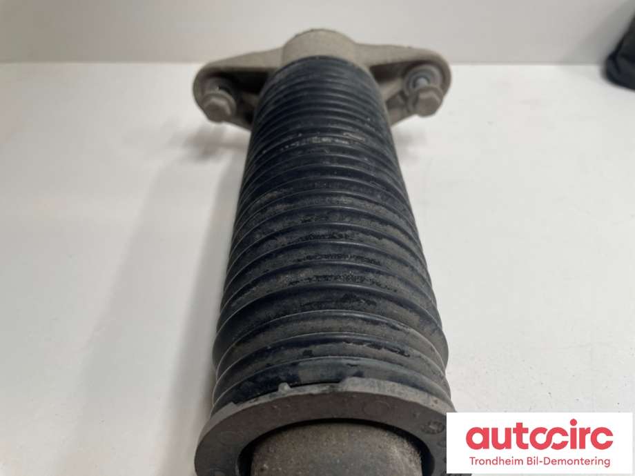 Støtdemper bak til Tesla Model Y 2021-2024 (Type I)  (1188463-00-C|1188463-00-D|)