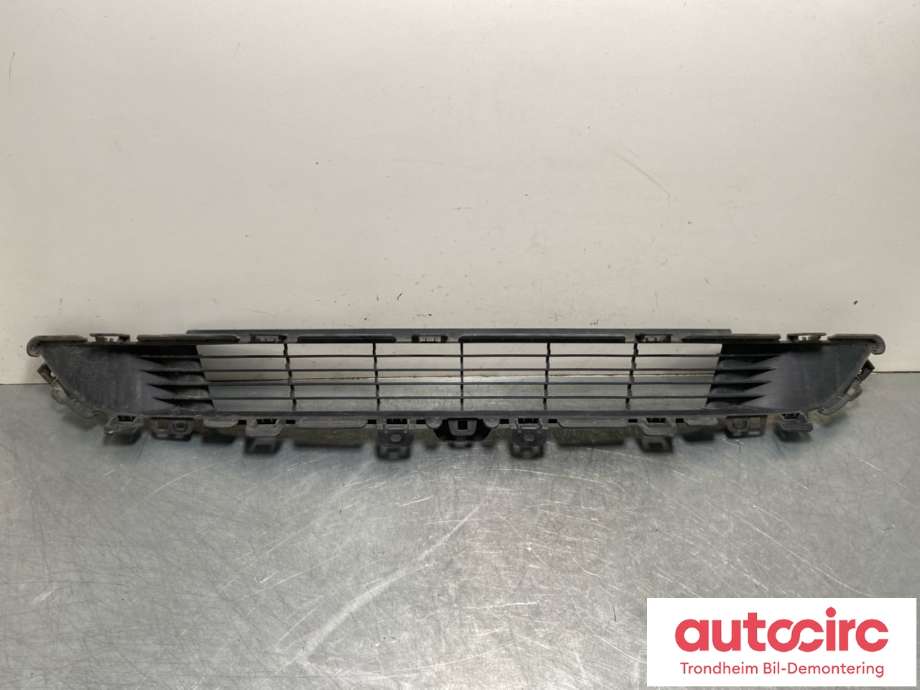 Grill midt til Tesla Model Y 2021-2024 (Type I) (1493759-00-A|)